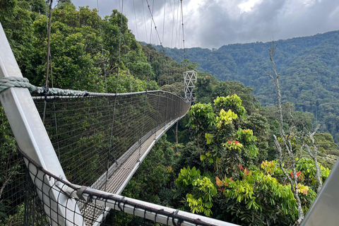 Viagem de 1 dia ao Ruanda, Uganda e Congo (RDC) para fazeres um trekking aos gorilas