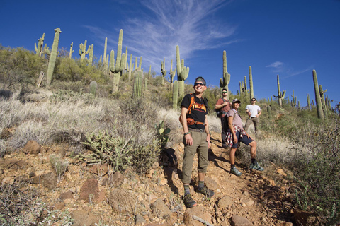 Scottsdale Desert Classic Guided Hike in Scottsdale, Arizona