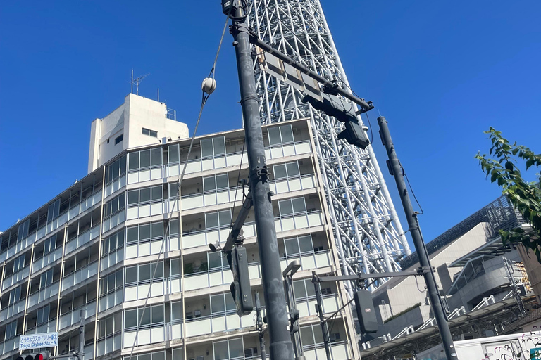 Tokyo: Tokyo Full-Day Customisable City Tour Driver / Guide