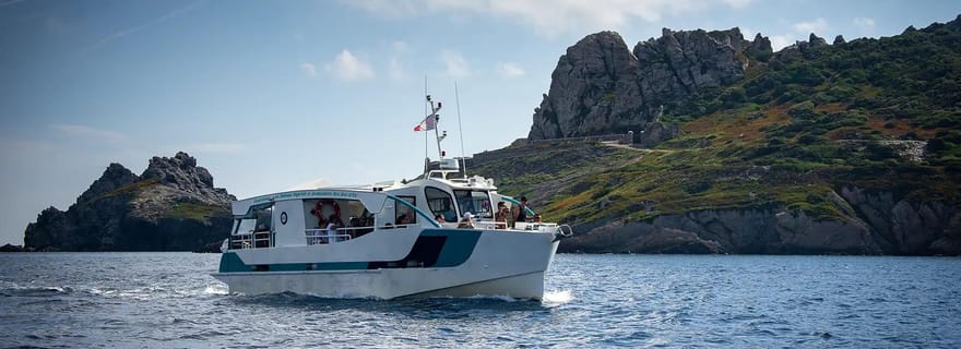Bormes-les-Mimosas: Excursion en bateau Hybride pour l'île de Porquerolles
