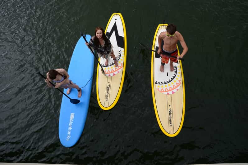 Knysna Stand Up Paddle Board Noleggio GetYourGuide