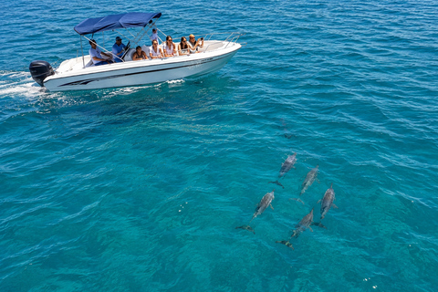 Mauritius: 5 Islands Speedboat Lagoon Experience with BBQ Mauritius: Lagoon Experience 5 Islands with BBQ Beach Lunch