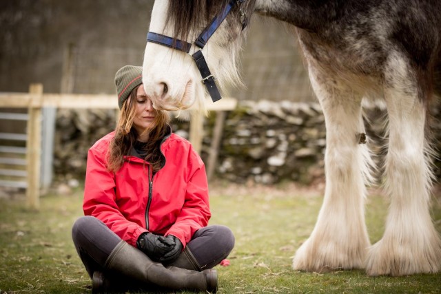Visit Meditate with horses Full circle experiences in Ambleside