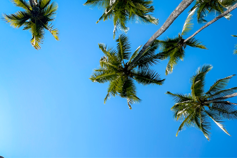 From Jaco: Tortuga Island Boat Tour with Snorkel and Lunch
