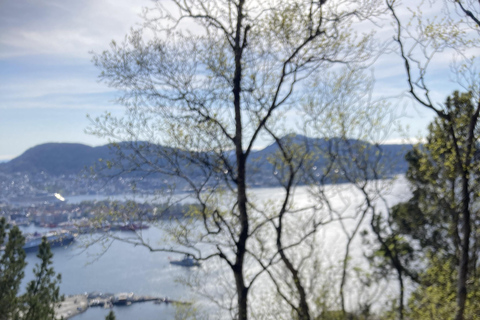 Bergen: Scenic Mountain Hike with Local Guide, Coffee&Snacks Bergen: Scenic Mountain Hike with LocalGuide, Coffee&Snacks