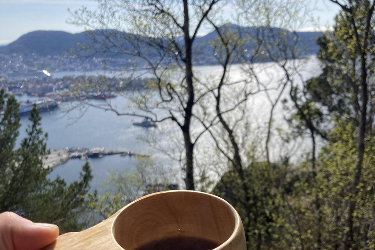 Bergen: Scenic Mountain Hike with Local Guide, Coffee&Snacks Bergen: Scenic Mountain Hike with LocalGuide, Coffee&Snacks