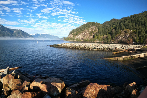 جولة ويسلر، جندول سي تو سكاي، شلال شانون وبحيرة جريناجعل جولتك خاصة