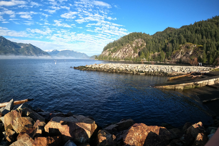 جولة ويسلر، جندول سي تو سكاي، شلال شانون وبحيرة جريناجعل جولتك خاصة