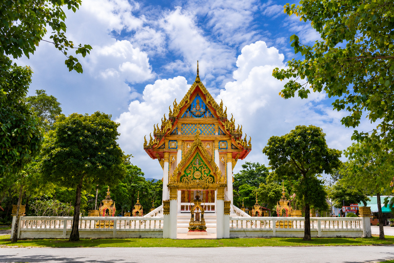 Khao Lak: Morning Market and Old Town by Songthaew by German Speaking Guide
