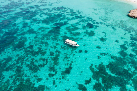 Viaje de buceo a las islas DimaniyatBuceo en las islas Dimaniyat