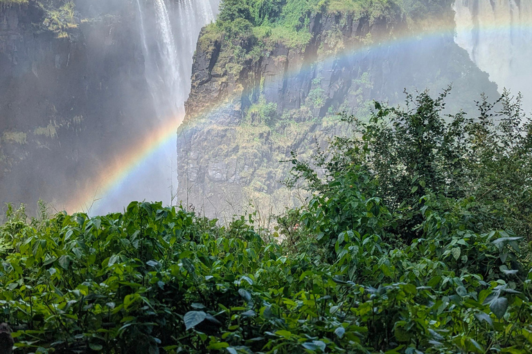 Victoria Falls Tour:Guided Walk with Female Guide