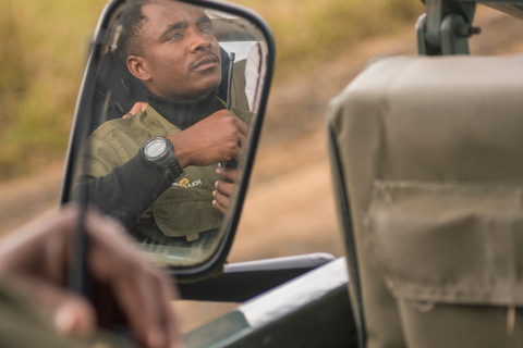 Från Zanzibar: Mikumi Safari med tvåmotorigt flygplan + lunchMikumi Safari – utan transfer