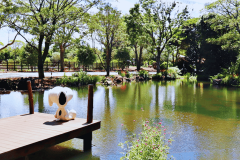 Jeju eiland: BTS Tour (Jeju Oost) met ophaalservice vanaf je hotel