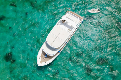 Hurghada: All-Inclusive Elite VIP Dolphin House & Massage Including Transfer from Hurghada