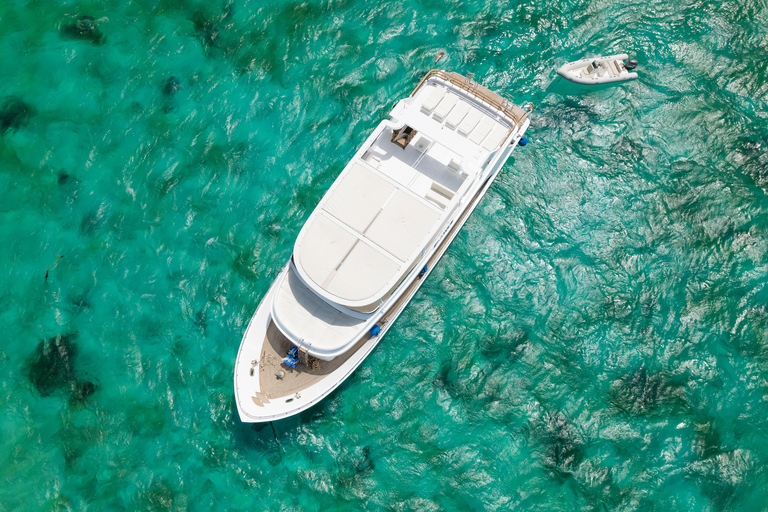 Hurghada: All-Inclusive Elite VIP Dolphin House & Massage Including Transfer from Hurghada