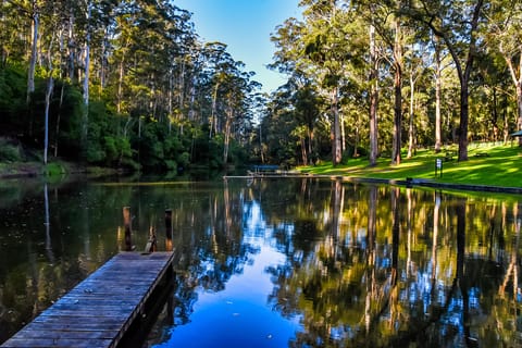 Pemberton: Secret Picnic Adventure - Image 2