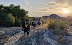 Almeria: Horse Riding Tour Through the Tabernas Desert