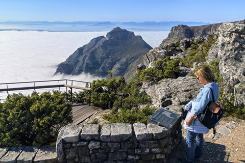 Cape Town: Table Mountain, Robben Island, & Dinner Tour