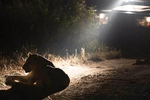 Victoria Falls Night Game drive with Bush Dinner