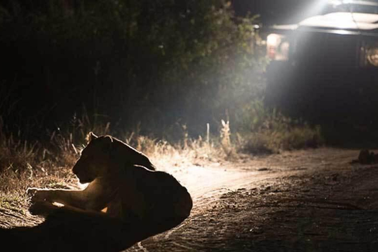 Victoria Falls Night Game drive with Bush Dinner