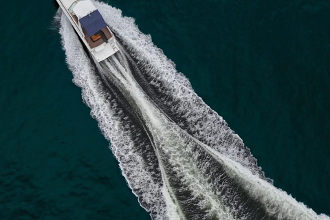 Rio de Janeiro: Privat Speedboat Tour - Upp till 12 personer!