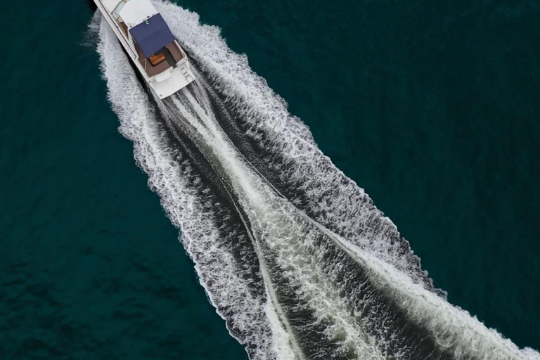 Rio de Janeiro: Private Speedboat Tour - bis zu 12 Personen!