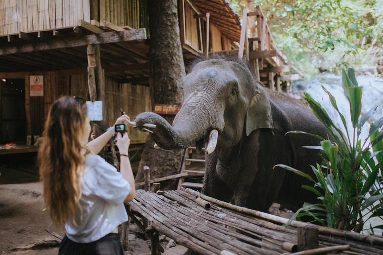 4 in 1 :Tour 2 days in Chiang Mai,Bamboo Rafting,Sleep,Elephants,Waterfalls