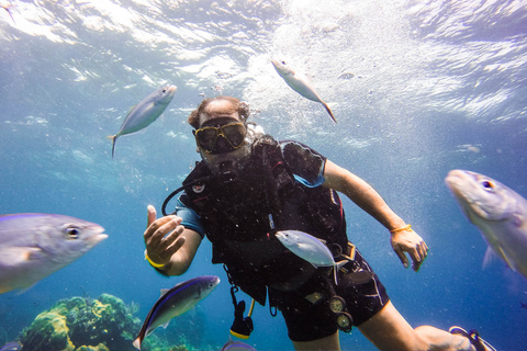 From Punta Cana: Catalina Island Snorkeling & Beach