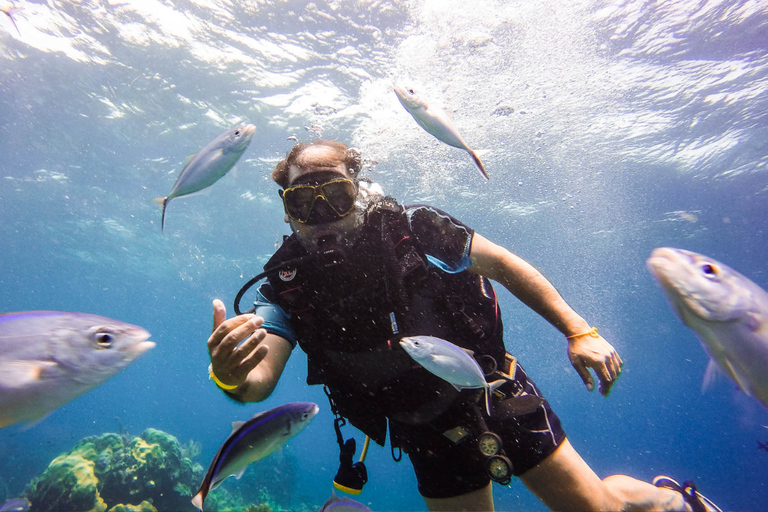 From Punta Cana: Catalina Island Snorkeling & Beach