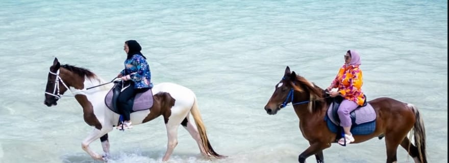 Pemba : Safari nocturne dans la forêt de Ngezi avec un guide ranger