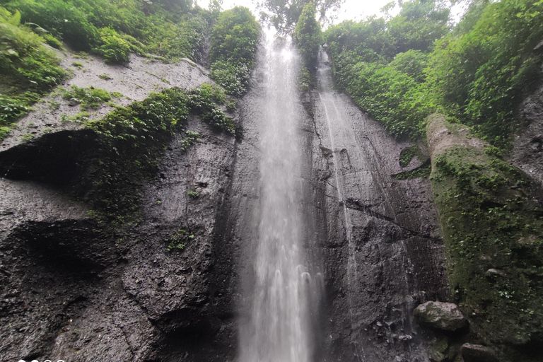 Van Jakarta: Bogor Botanische Tuin en Rijstvelden TourBogor Botanische Tuin en Rijstvelden Tour