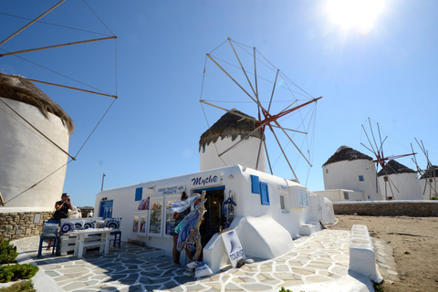 Mykonos: Halbtagestour durch die Stadt und Bustour auf der InselStadt- und Inseltour 2024