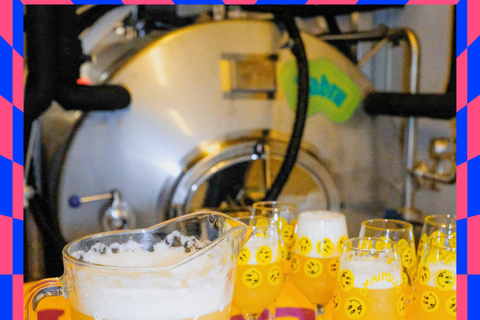 Sundbyberg: Beer Tasting Masterclass with Guided Tour