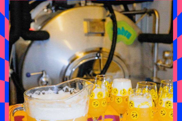 Sundbyberg: Beer Tasting Masterclass with Guided Tour