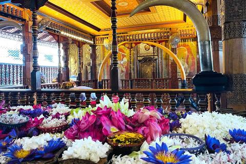 Colombo: Kandy Day Trip with Tooth Temple, Tea Factory Visit