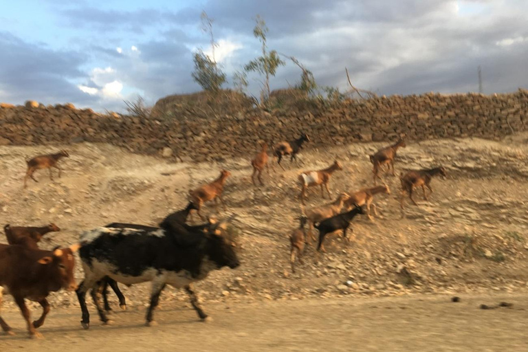 Tigray: iglesias rupestres de Gheralta, Axum y templo de YehaTigray: iglesias rupestres y montañas de Gheralta (2 días)