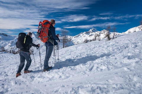 From Ljubljana/Bled: Winter Hike to 2000m Julian Alps Summit From Bled: Pickup at your accommodation