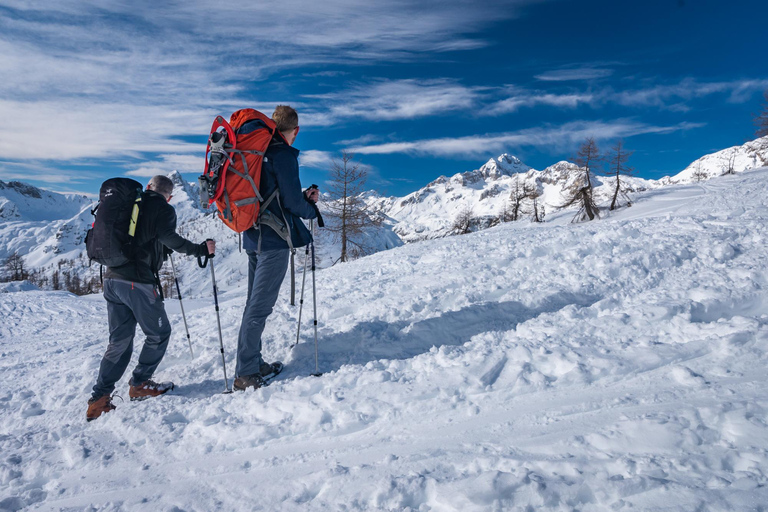 From Ljubljana/Bled: Winter Hike to 2000m Julian Alps Summit From Bled: Pickup at your accommodation