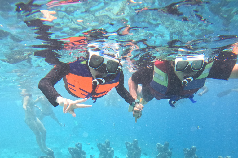 Lombok: Gili Islands Snorkeling Tour with Hotel Pickup Provate snorkling gili island with camera underwater