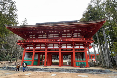 Wakayama & Koyasan: Private Tour with Hotel Pickup & Lunch