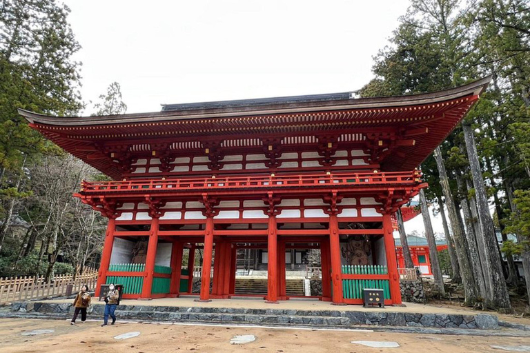 Wakayama & Koyasan: Private Tour with Hotel Pickup & Lunch