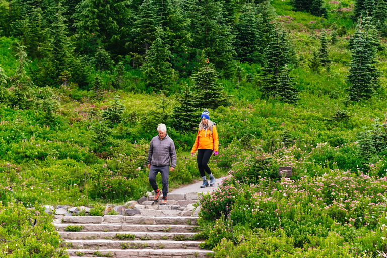 From Seattle: Mount Rainier National Park Guided Tour