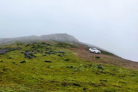 From Bangalore: 2-Day Chikkamagaluru: Temples & Safari
