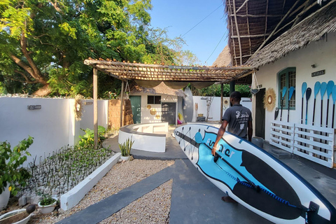 Zanzibar: Unik guidad mangrovetur med SUP eller kajak