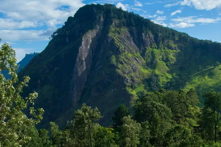 Pekoe Trail Stage 4 Guided Hike (Tawalantenne-Pundaluoya) From Hatton: Pekoe Trail Stage 4 Guided Hike