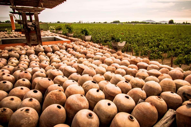 Lima : visite d&#039;une jounée à Paracas, aux vignobles et à Huacachina