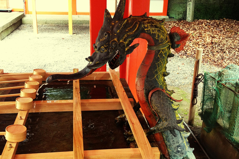 Nara Kyoto: Private Kyoto Tour with English Speaking Guide