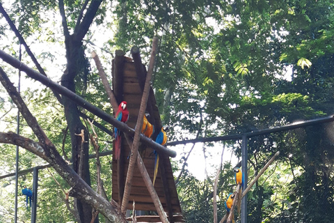 Rio de Janeiro: BioParque rondleiding met transfer