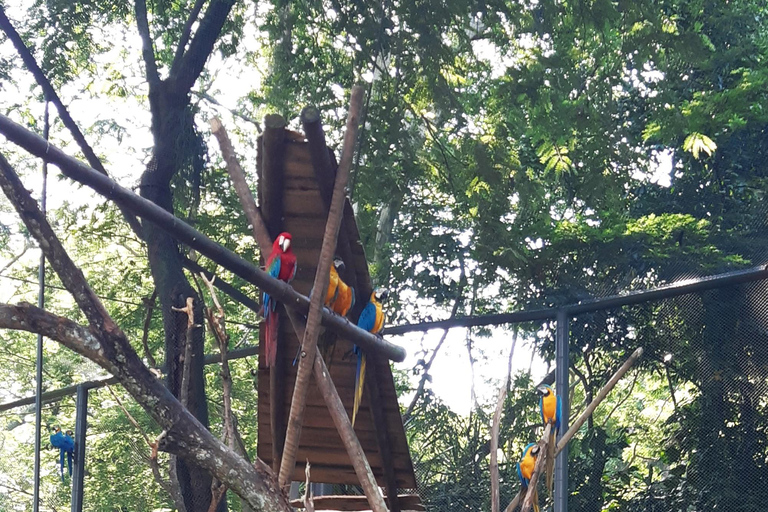 Río de Janeiro: Tour guiado por el BioParque con traslado