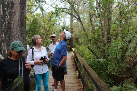 De Miami: Excursão a Everglades com passeio de barco de 90 minutos